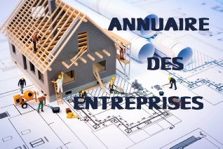 ANNUAIRE ENTREPRISES.xlsx